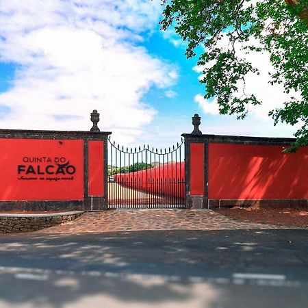 Quinta Do Falcao Almagreira  Exteriér fotografie