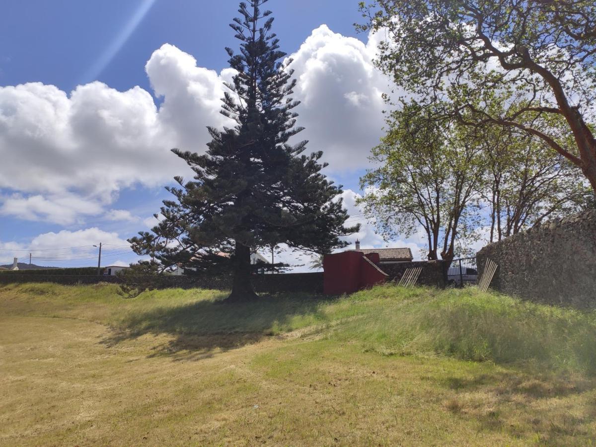 Quinta Do Falcao Almagreira  Exteriér fotografie