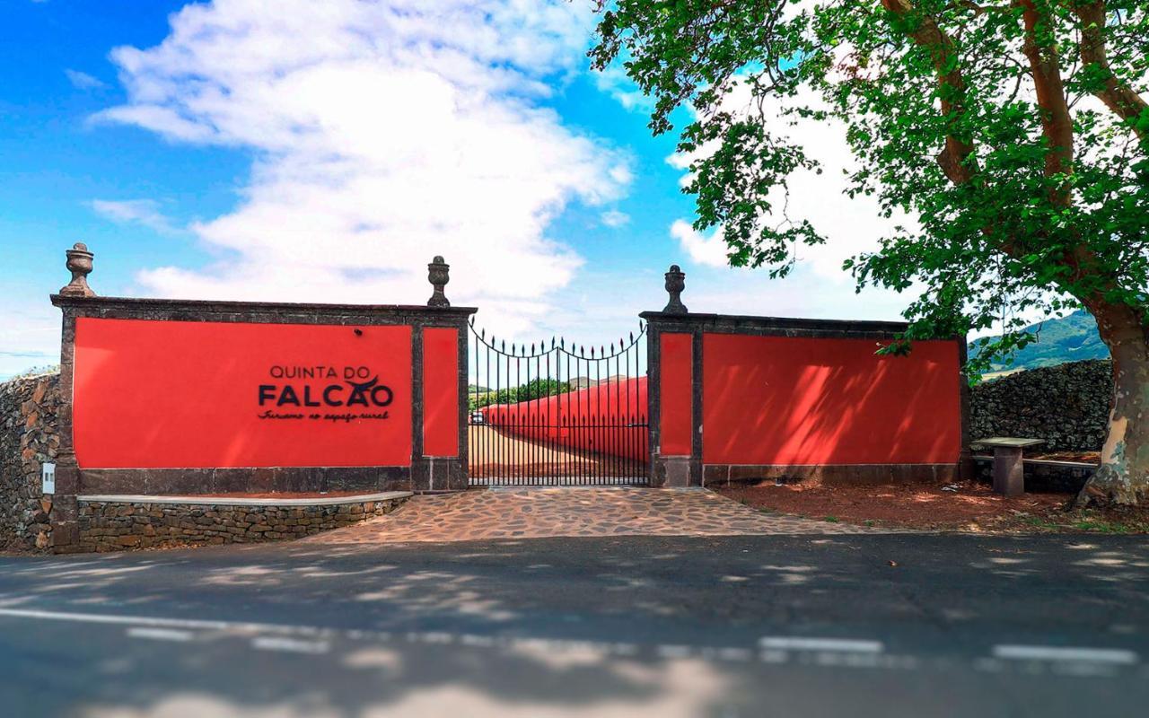 Quinta Do Falcao Almagreira  Exteriér fotografie