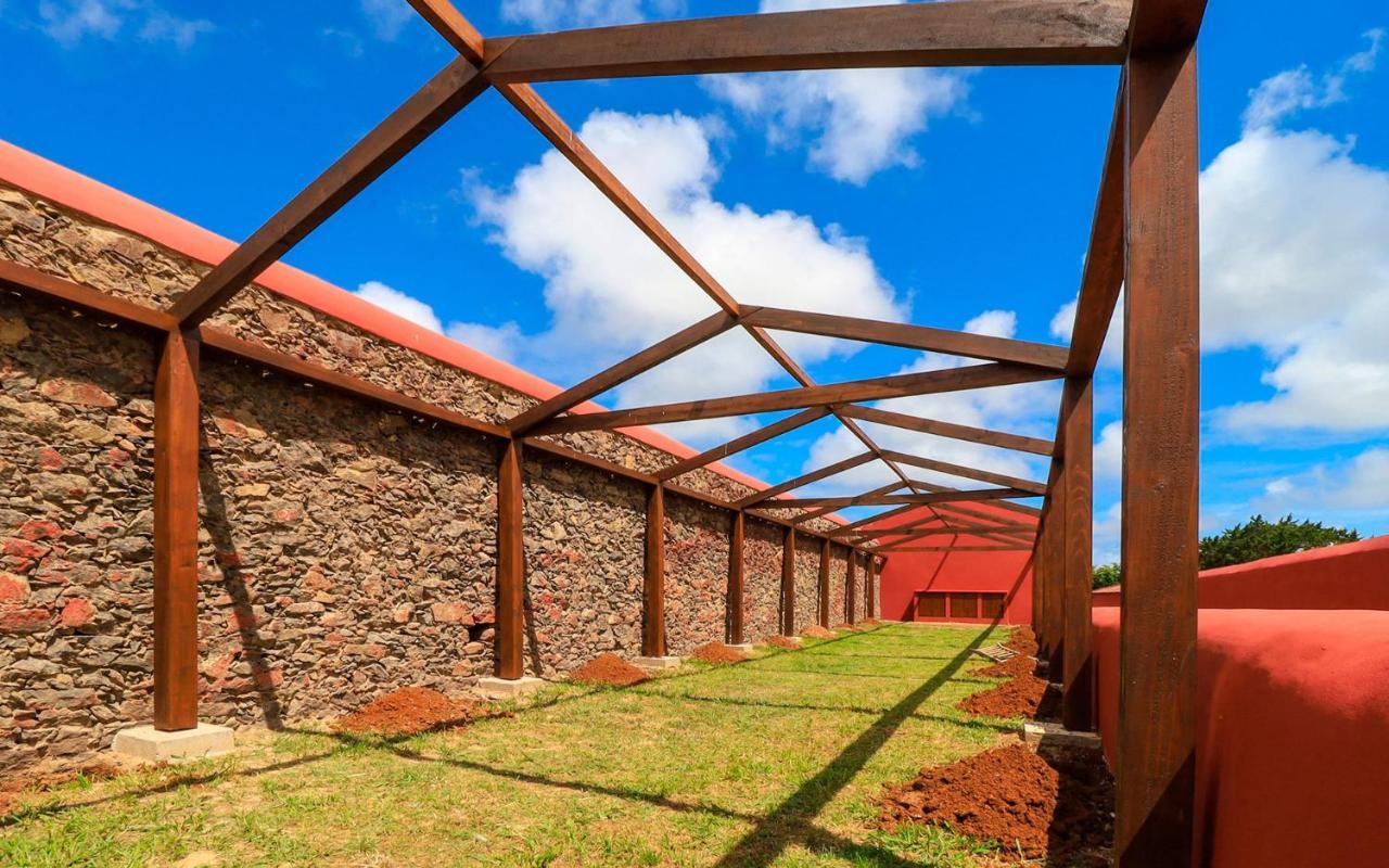 Quinta Do Falcao Almagreira  Exteriér fotografie